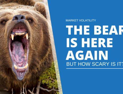 The Bear Market is here again