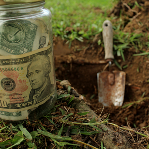 FDIC Insurance backyard bury money